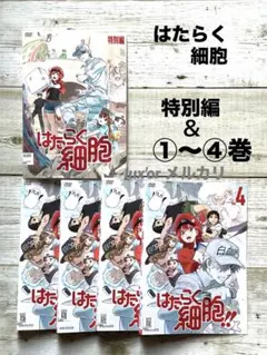 はたらく細胞!! (第2期) DVDレンタル落ち - メルカリ