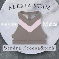 アリシアスタン モカ 新品未使用 美品⭐︎アリシアスタン 水着L モカブラウン ビキニL ALEXIASTAM
