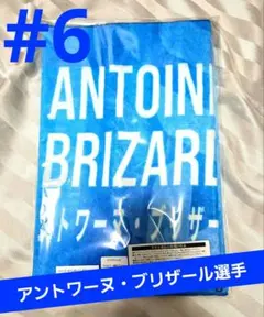 Item thumbnail for item 33856840-c298-4b34-8101-2af74e1fa4ed