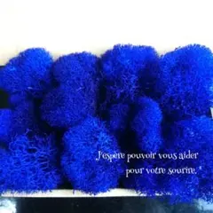 加工花材　モス　プリザーブドフラワー　ハーバリウム　アレンジメント　レジン　花材