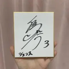 パナソニックパンサーズ　直筆サイン入り　Tシャツ　2018　福井 パナソニックパンサーズ 直筆サイン入り Tシャツ 2018 福井 2025