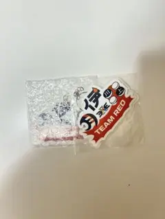 QuizKnock TOMOE 3x3 チームアクリルキーホルダー レッド - メルカリ