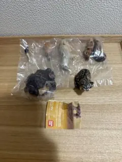 湯呑 足立育朗波動の法則 形態波動エネルギー研究所 未来食器（ミライ