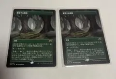 変容する森林 拡張2枚セット
