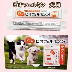 Item thumbnail for item aa8d8c93-912b-4b28-a6eb-c872529f4a6d