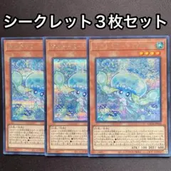 マルチャミー　プルリア　シークレット　3枚セット　シク