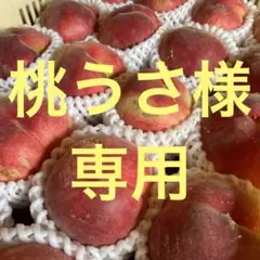 桃うさ様専用 夢みずき 加工用 3.5kg