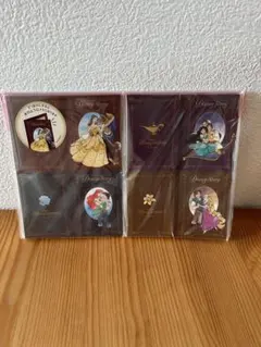 ディズニーランド　プリンセス メモ帳セット