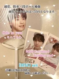 SEVENTEEN DINO ディノ Ode to you caratland