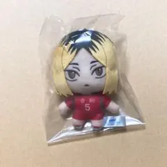 ハイキュー!! ぬいぐるみ 孤爪研磨