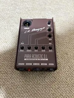 美品 LR Baggs Para Acoustic D.I. 中古 2025年最新】l.r.baggs para acoustic d.i.の人気アイテム