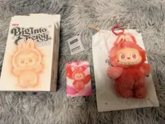 2025年最新】Labubu ぬいぐるみ 未開封の人気アイテム - メルカリ