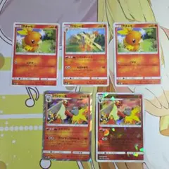 アチャモ ワカシャモ バシャーモ カードセット