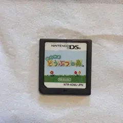 おいでよどうぶつの森 ニンテンドーDS ソフト