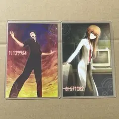 シュタインズゲート　ポストカード　岡部倫太郎　牧瀬紅莉栖　2枚セット