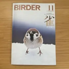 BIRDER 2025年11月号 特集 雀