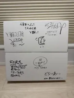 父の背中　段ボール