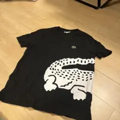 LACOSTE ブラック Tシャツ US M