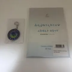 ポケモンレジェンズZ-A アートブック／キーホルダー