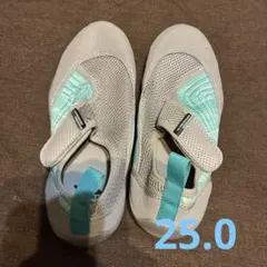 Item thumbnail for item ce676c5b-8931-4655-9d45-77f5b52bab40