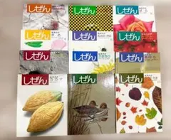 しぜん キンダーブック 　全12巻セット