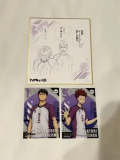 ハイキュー 白鳥沢 色紙 牛島若利 天童覚 クリアカード