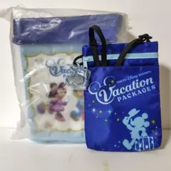 東京ディズニーリゾート ポップコーンバケット チケットホルダー　バケパ　ミッキー