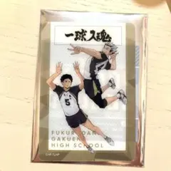 ハイキュー クリアカード