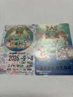 ディズニーリゾート　フリー切符　使用切れ