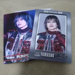 【匿名配送】THE RAMPAGE 山本彰吾 フォトカ