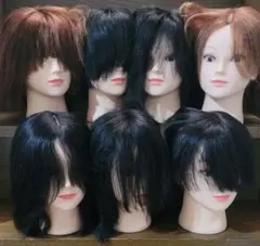 国家試験用カットウィッグ 3体セット 美容師 国家試験用 カットウィッグ 3体 +2体