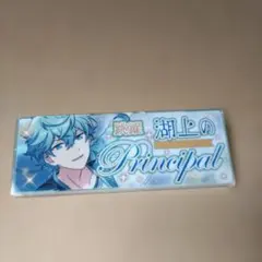 あんさんぶるスターズ あんスタ アクリルバッジ 瀬名泉 2