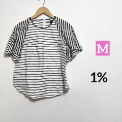 1% ストライプ 半袖Tシャツ ラグランスリーブのサムネイル