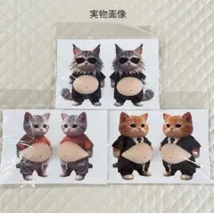 人気★おなか 猫 ぷにぷにシール 立体 シール ３D ステッカー お腹 ねこ