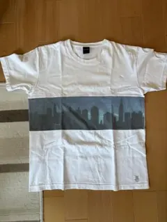アップルバム ヘビーオンス Tシャツ 古着のサムネイル