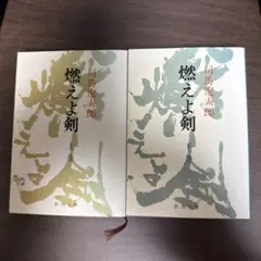 司馬遼太郎 小説 2冊セット 燃えよ剣 上下