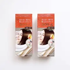 【新品】Bigen ビゲン 泡クリームカラー 5A ダークアッシュ白髪用 2個のサムネイル