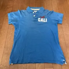 Hollister ポロシャツ CALI 22 ブルーのサムネイル