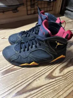エアジョーダン7 シトラス　28cmのサムネイル
