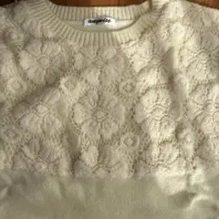 Item thumbnail for item 2195732e-4e60-4e51-8a2f-fbbb2e516f02