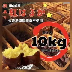 【さつまいも】紅はるか 野菜 10kg 栽培期間農薬不使用【大感謝価格】