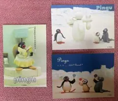 10/14まで値下げ中　PINGU ピングー　ポストカード　3種