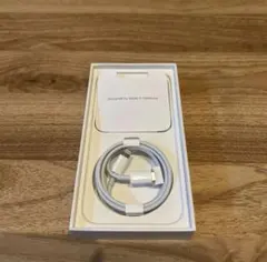 純正 iPhone USB-C Lightning ケーブル タイプC