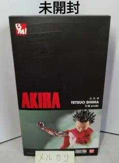 AKIRA 島鉄男　 1/6スケール アキラ AKIRA 島鉄雄 1/6スケール PROJECT BM