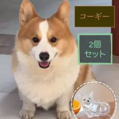 （コーギー）わんちゃん毛玉入れ 2個セット けだまだまチャーム メモリアル 収納のサムネイル