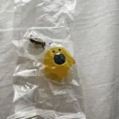 truz めじるしアクセサリー podong ポドン TREASURE