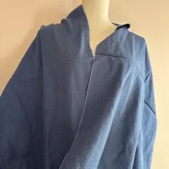 Item thumbnail for item a8c1aa77-34c1-47e4-8770-e430db9a2977