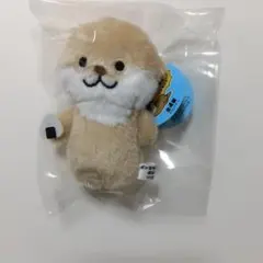 2026年最新】ぽんちゃんの人気アイテム - メルカリ