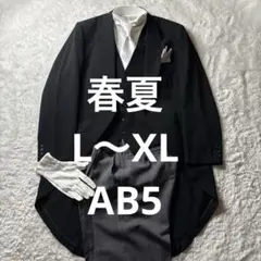春夏用✨AB5 豪華8点セット 結婚式 父親 モーニング 燕尾 校長 式典