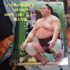 Item thumbnail for item e80676ce-c39d-444f-9a0e-32a8557762b5